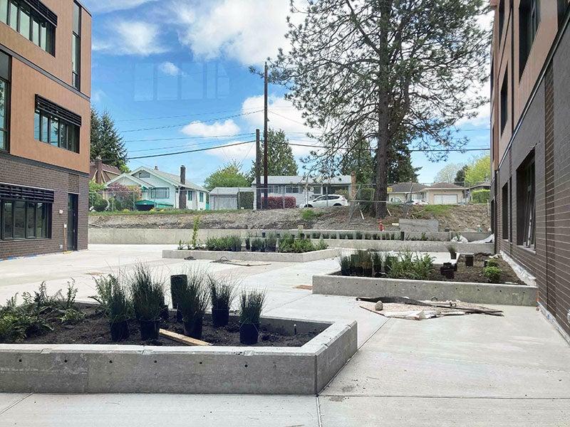 a paved courtyard between two buildings has raised curbed planters